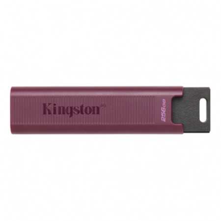 Kingston Technology DataTraveler Max 256GB USB Tip-A 3.2 Gen 2