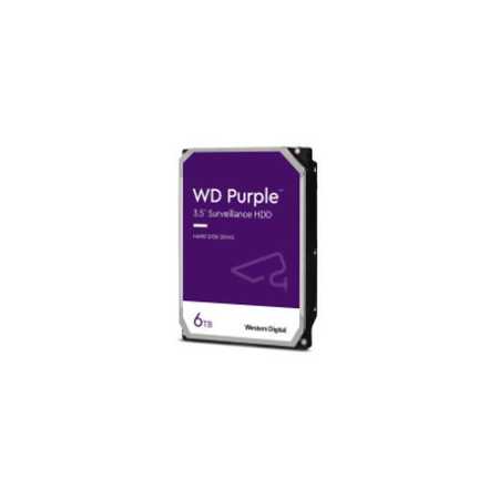 Western Digital Purple 6TB SATA3, 5400rpm, 256MB cache (WD64PURZ)