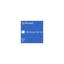 Windows Server CAL 2022 English 1pk DSP OEI 5 Clt User CAL