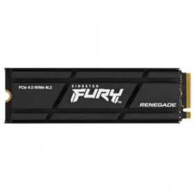 Kingston FURY Renegade Heatsink 1 TB, SSD