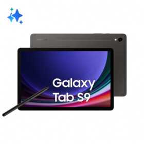 Samsung Galaxy Tab S9 SM-X710N