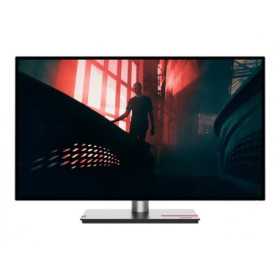 LENOVO ThinkVision P27h-30 27inch TS