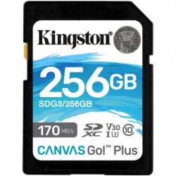 Kingston Canvas Go! Plus SD, R170MB/W90MB, 256GB