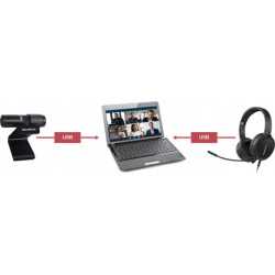 AVerMedia  video conference kit 317 (webcam + headset)