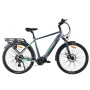 MS ENERGY eBike c101