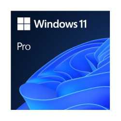 MS Windows 11 Professional 64-bit Eng