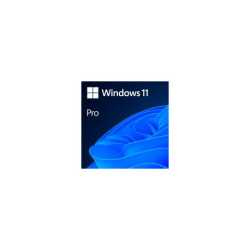 Windows 11 Professional 64Bit English Intl 1pk DSP OEI DVD