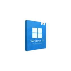Microsoft Windows 11 Professional 64-bit ENG OEM DVD