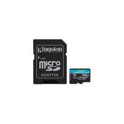 Kingston microSDXC, Select plus Go,R170/W90, 256GB