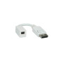 Roline adapter/kabel DisplayPort - Mini DisplayPort, M/F, 0.15m