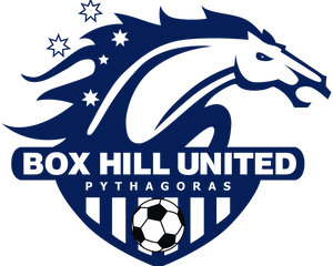 box hill united soccer